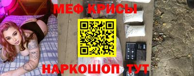 спайс Кингисепп