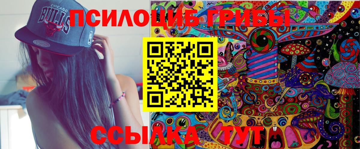Ипатово  Псилоцибиновые грибы прущие грибы  Вход с VPN 